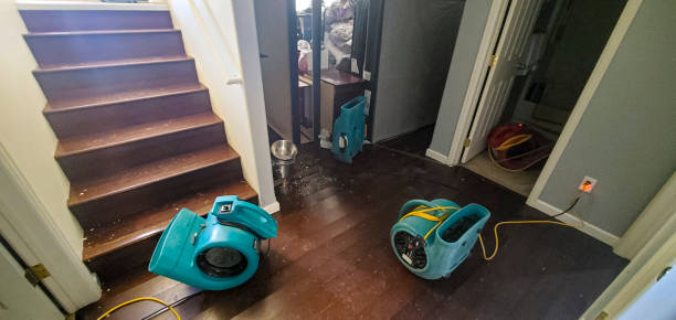 Best Emergency water damage restoration  in Nyon Lake, CA