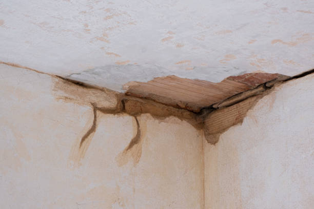 Best Sewage cleanup and water damage restoration  in Nyon Lake, CA