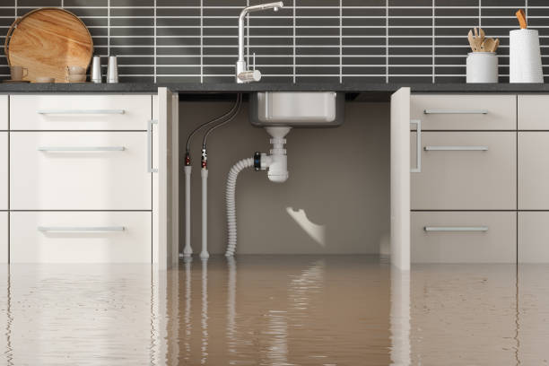 Best Water damage contractors near me  in Nyon Lake, CA