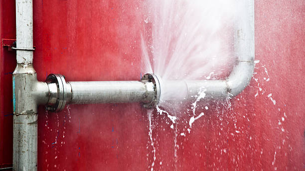 Best Mold removal after water damage  in Nyon Lake, CA