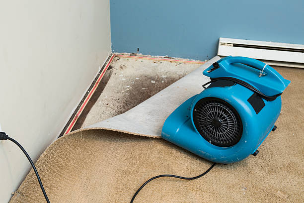 Best Carpet water damage restoration  in Nyon Lake, CA